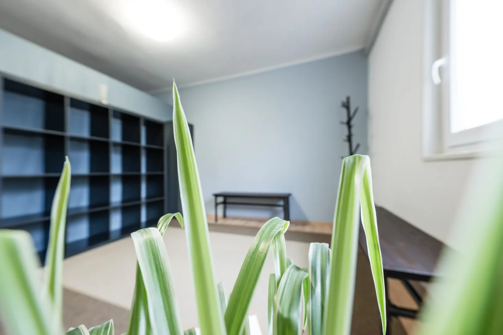 Eastend Yoga — yoga-studio i Stuttgart — 3