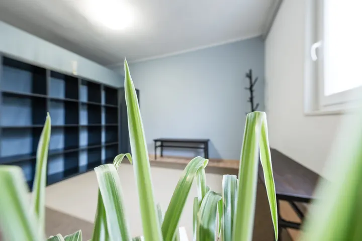 Eastend Yoga Cannstatt — yoga-studio in Cannstatt-Mitte, Stuttgart — 3