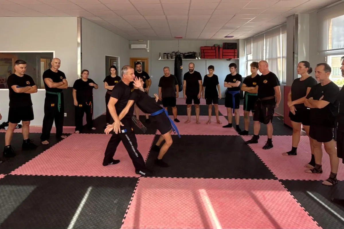 Krav Maga Alicante - Escuela De Defensa Personal — kampsport-studio i Alacant/Alicante — bild 2