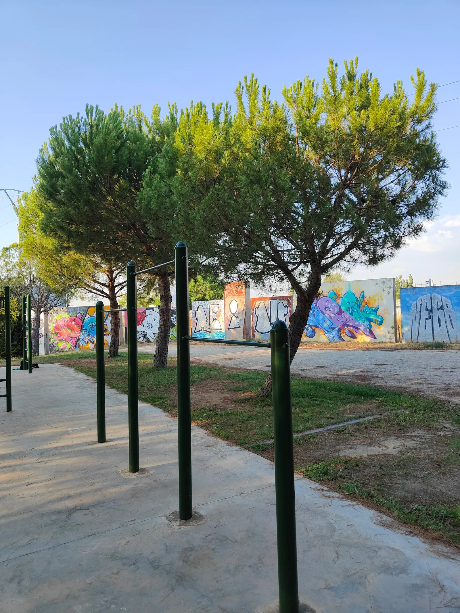 Calistenia Street Workout — estudio de fitness-studio en Chinchibarra, Salamanca — 2