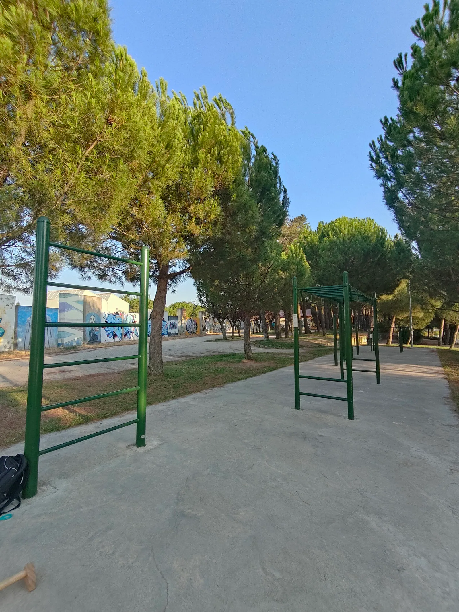 Calistenia Street Workout — estudio de fitness-studio en Chinchibarra, Salamanca — 3