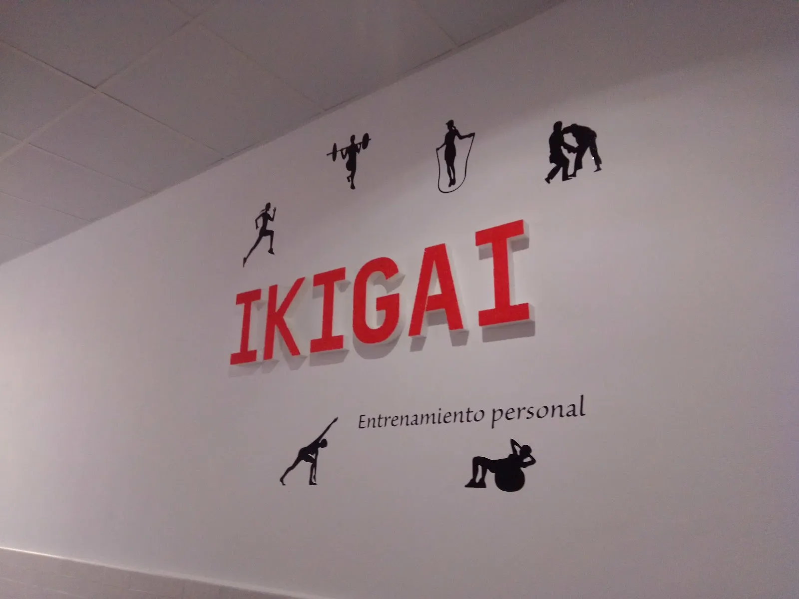 Ikigai Entrenamiento Personal® // Escuela de Judo Seiza® CDE — artes marciales-studio en Salamanca — 2