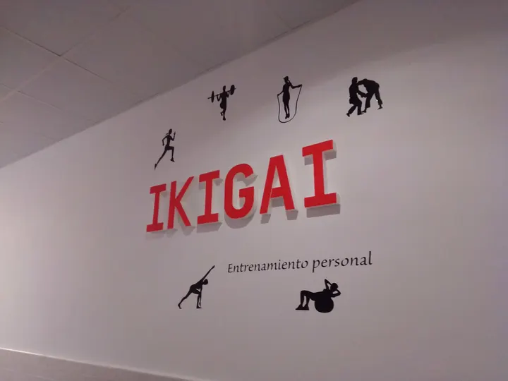 Ikigai Entrenamiento Personal® // Escuela de Judo Seiza® CDE — artes marciales-studio en Rollo, Salamanca — 2