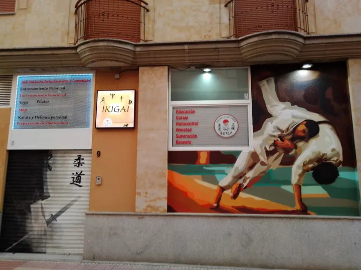 Ikigai Entrenamiento Personal® // Escuela de Judo Seiza® CDE — artes marciales-studio en Salamanca — 4