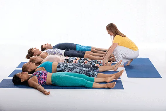 Yoga Vidya Freiburg mobil — Yoga in Haslach-Haid, Freiburg im Breisgau