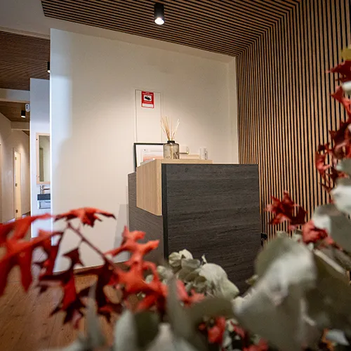 NUT^FIT WELLNESS CENTER — pt-studio-studio i Santander — bild 3