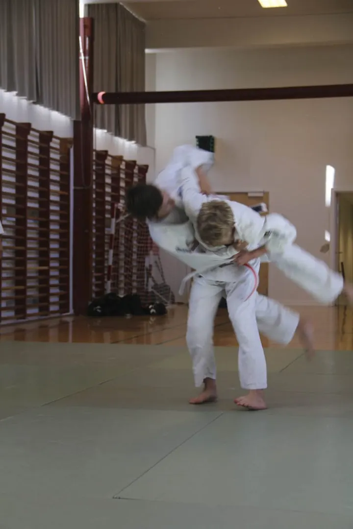 Birkerød budocenter, Nihon-Jujitsu selvforsvar — kampsport-studio i Bistrup, Birkerød — 2