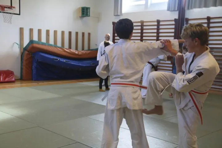 Birkerød budocenter, Nihon-Jujitsu selvforsvar — kampsport-studio i Birkerød — 3