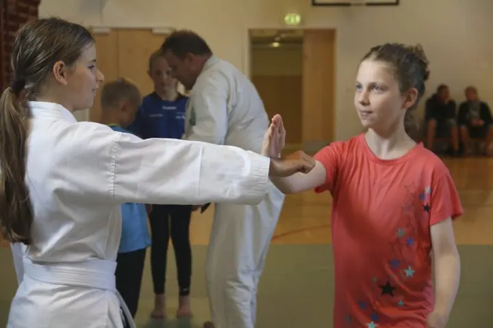 Birkerød budocenter, Nihon-Jujitsu selvforsvar — kampsport-studio i Birkerød — 4