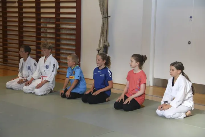 Birkerød budocenter, Nihon-Jujitsu selvforsvar — kampsport-studio i Birkerød — 5
