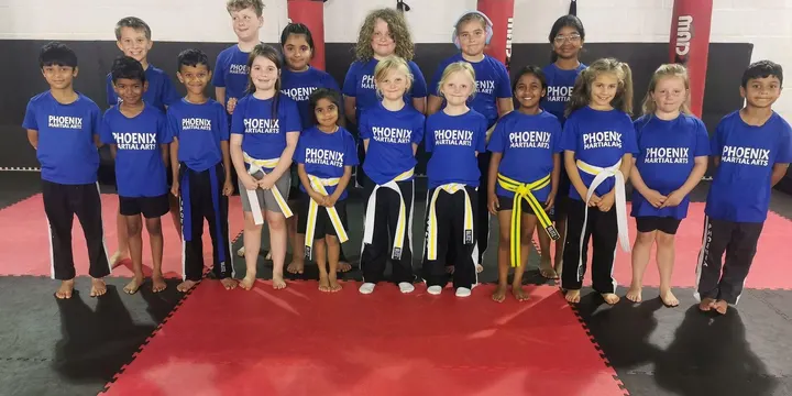 Phoenix Martial Arts & Fitness — martial arts-studio in South Swindon, Swindon — 2