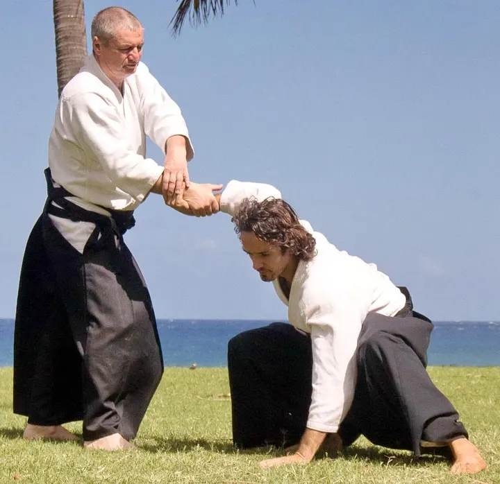Aikido Tassin — arts martiaux-studio à Lyon — 4