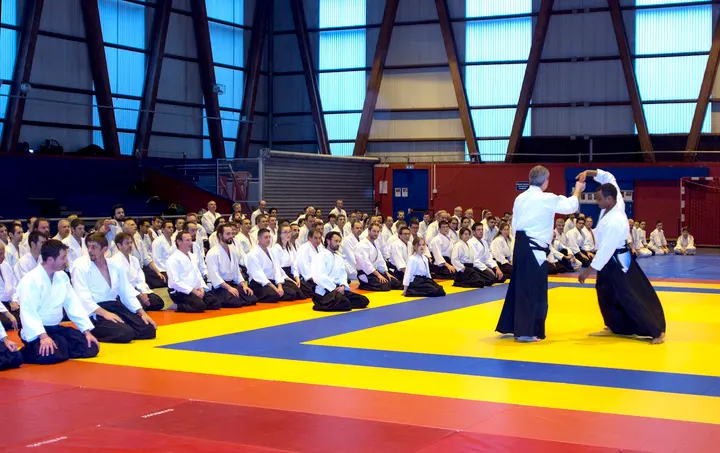 Aikido Tassin — Arts martiaux à Tassin-la-Demi-Lune