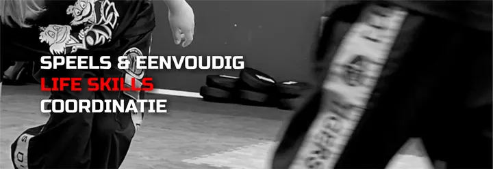 Safety and Protection Zelfverdediging — vechtsport-studio in Ede — 4