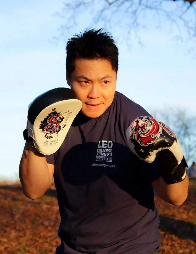 Leo Chinese Kung Fu Wimbledon (Tai Chi / Wing Chun) — Martial Arts in Merton, London