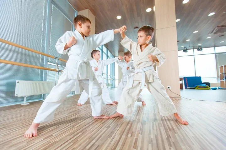 Budofit Augsburg (Kampfsport und Selbstverteidigung) — Kampfsport in Jakobervorstadt-Nord, Augsburg