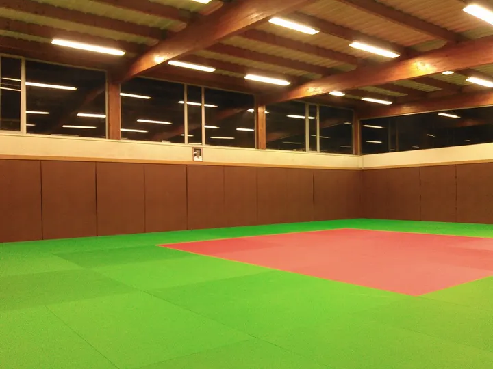 Académie d'Aikido de l'Est Lyonnais Dojo de la Doua — arts martiaux-studio à Tonkin, Lyon — 3