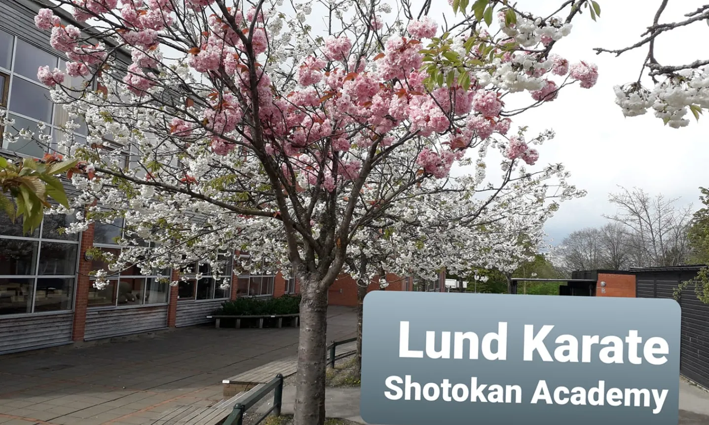 Lund Karate-Do Shotokan Akademi — kampsport-studio i Lund — bild 2