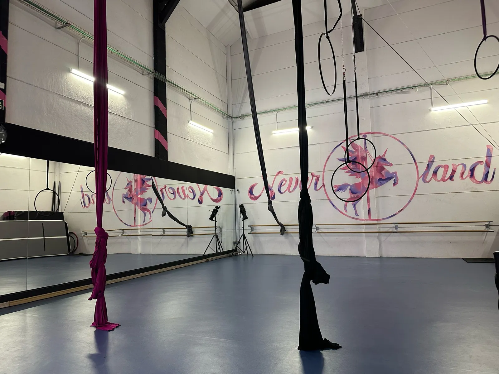 Neverland Pole & Dance — pole fitness-studio en Los Tempranales, San Sebastián de los Reyes — 2