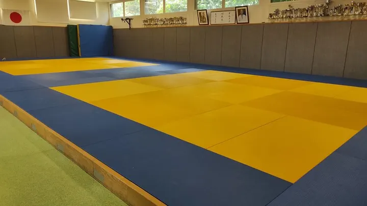 Judo Club Rhodia Vaise Gabriel Debard — arts martiaux-studio à Vaise, Lyon — 3