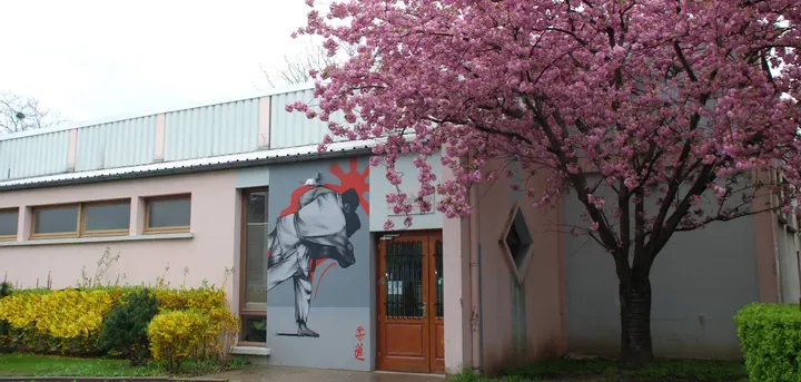 Judo Club Rhodia Vaise Gabriel Debard — Arts martiaux à Vaise, Lyon