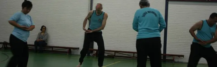 Satria Nusantara Nederland — vechtsport-studio in Amsterdam — 3
