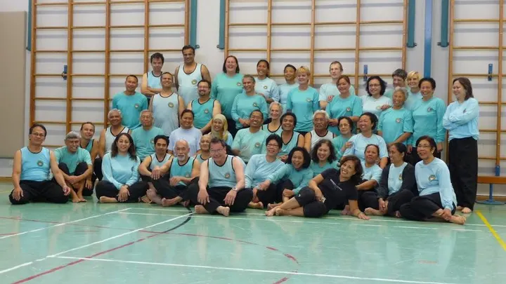 Satria Nusantara Nederland — vechtsport-studio in Amsterdam — 4
