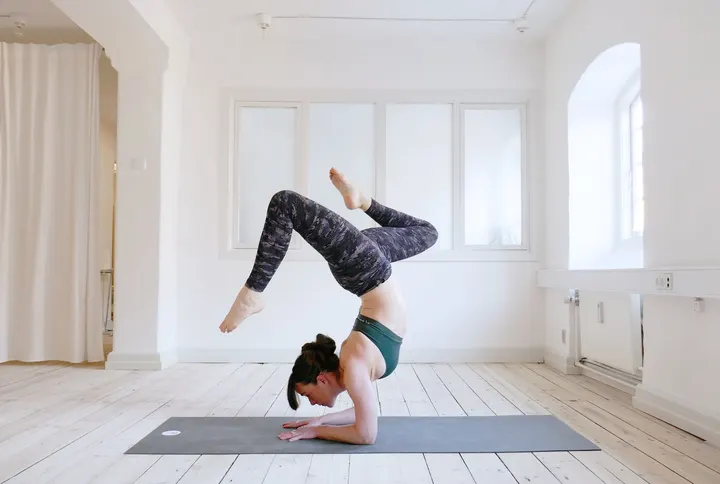 Palmaria Yoga — Yoga i Christianshavn, København K