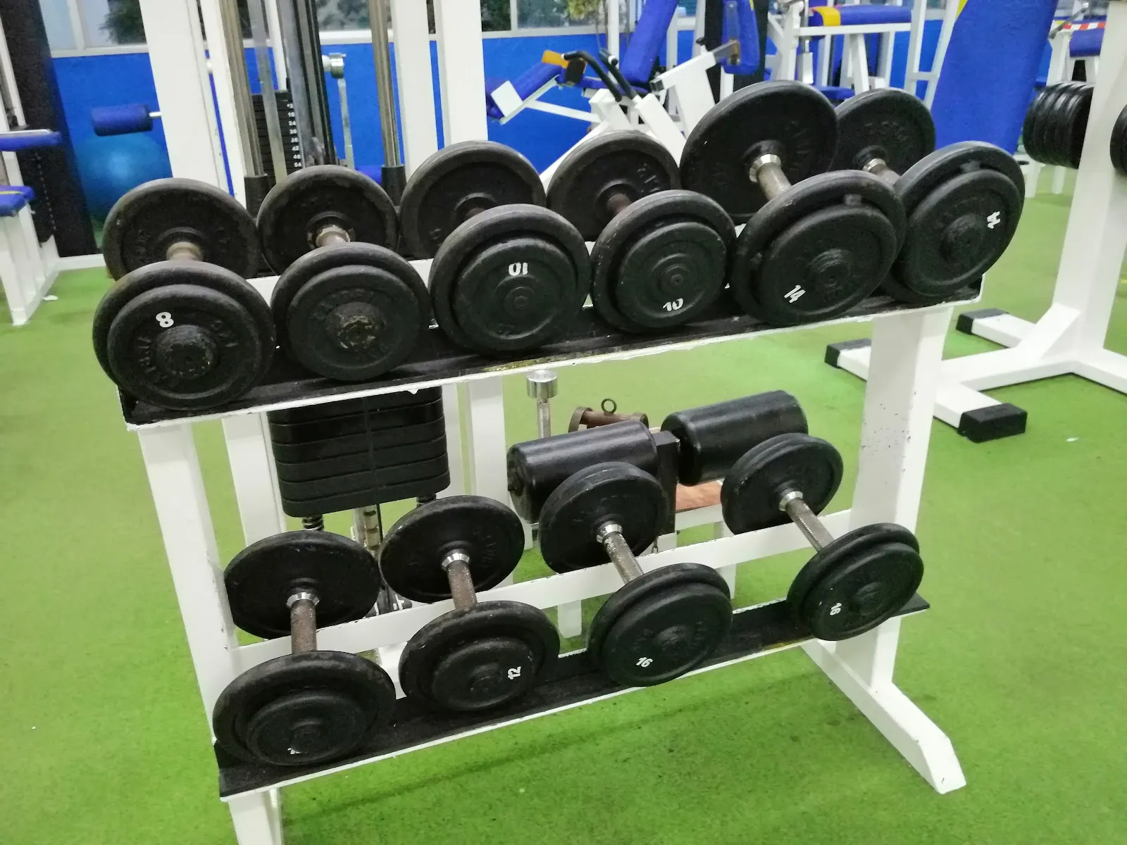 Club Deportivo Leones — estudio de fitness-studio en L'Hospitalet de Llobregat — 2