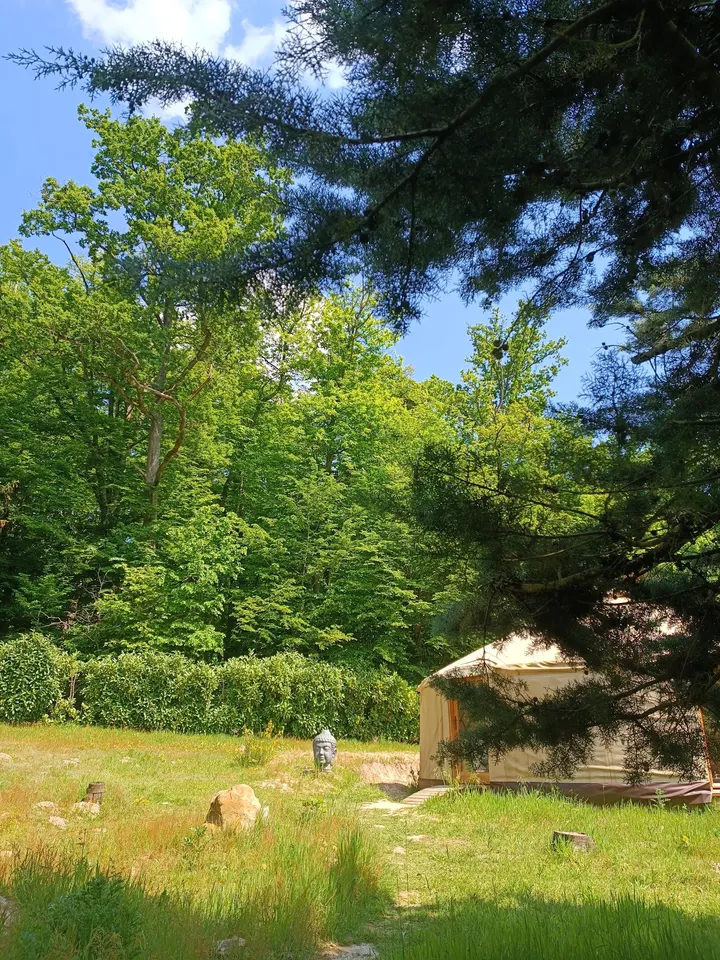 Wild Lotus Yoga — yoga-studio à Montmélian, Samoreau — 2
