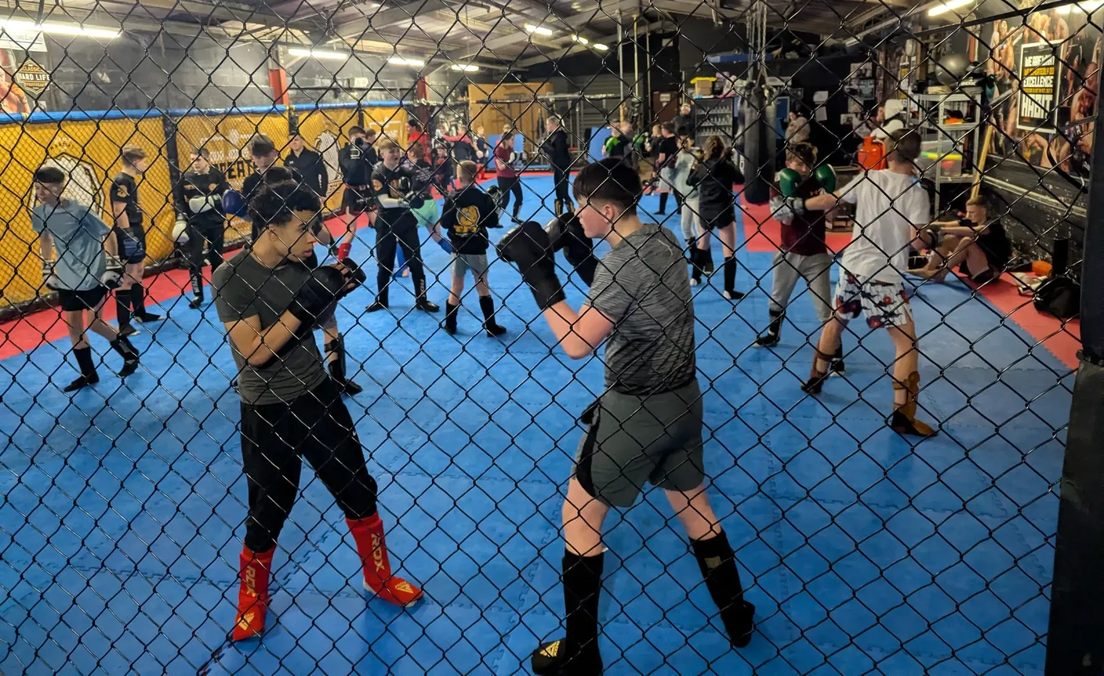 TFT MMA — mma-studio in Seaham — 6