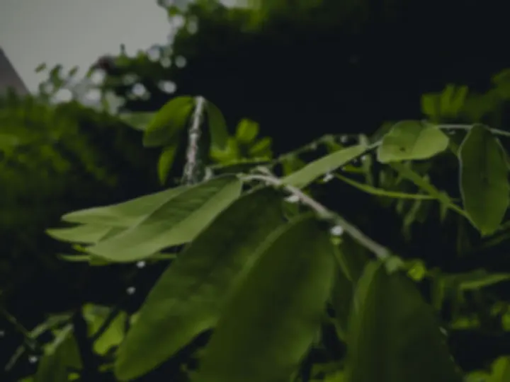 Frequency Breathwork — breathwork-studio a Monza — 2