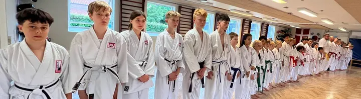 Ten Chi Jin Kampkunst Akademi — martial arts-studio i Saralyst, Højbjerg
