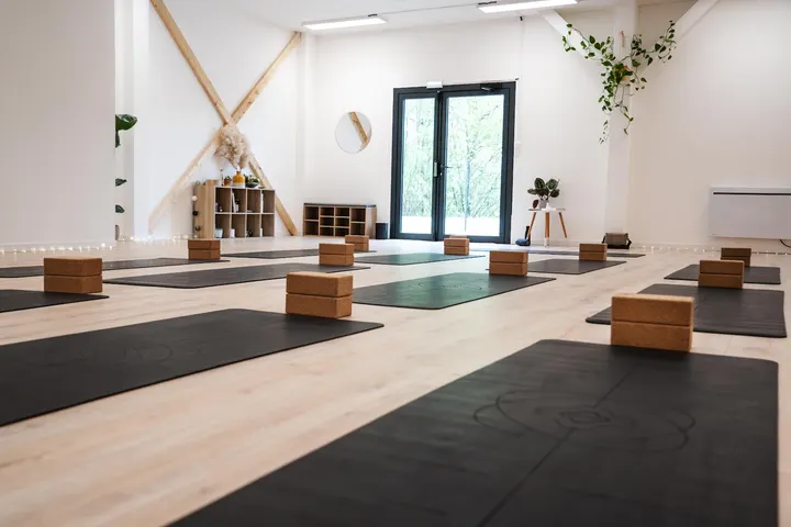 Ālaya Studio Seysolaz — yoga-studio à Seysolaz, Sillingy — 2