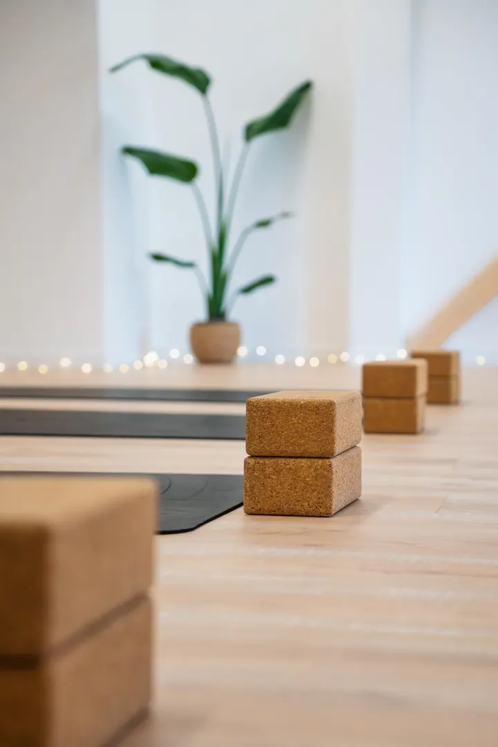 Ālaya Studio Seysolaz — yoga-studio à Seysolaz, Sillingy — 3