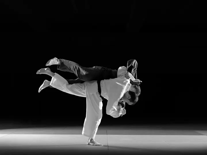Judo Aijaku Club — Arts martiaux à Paris 15e Arrondissement, Paris