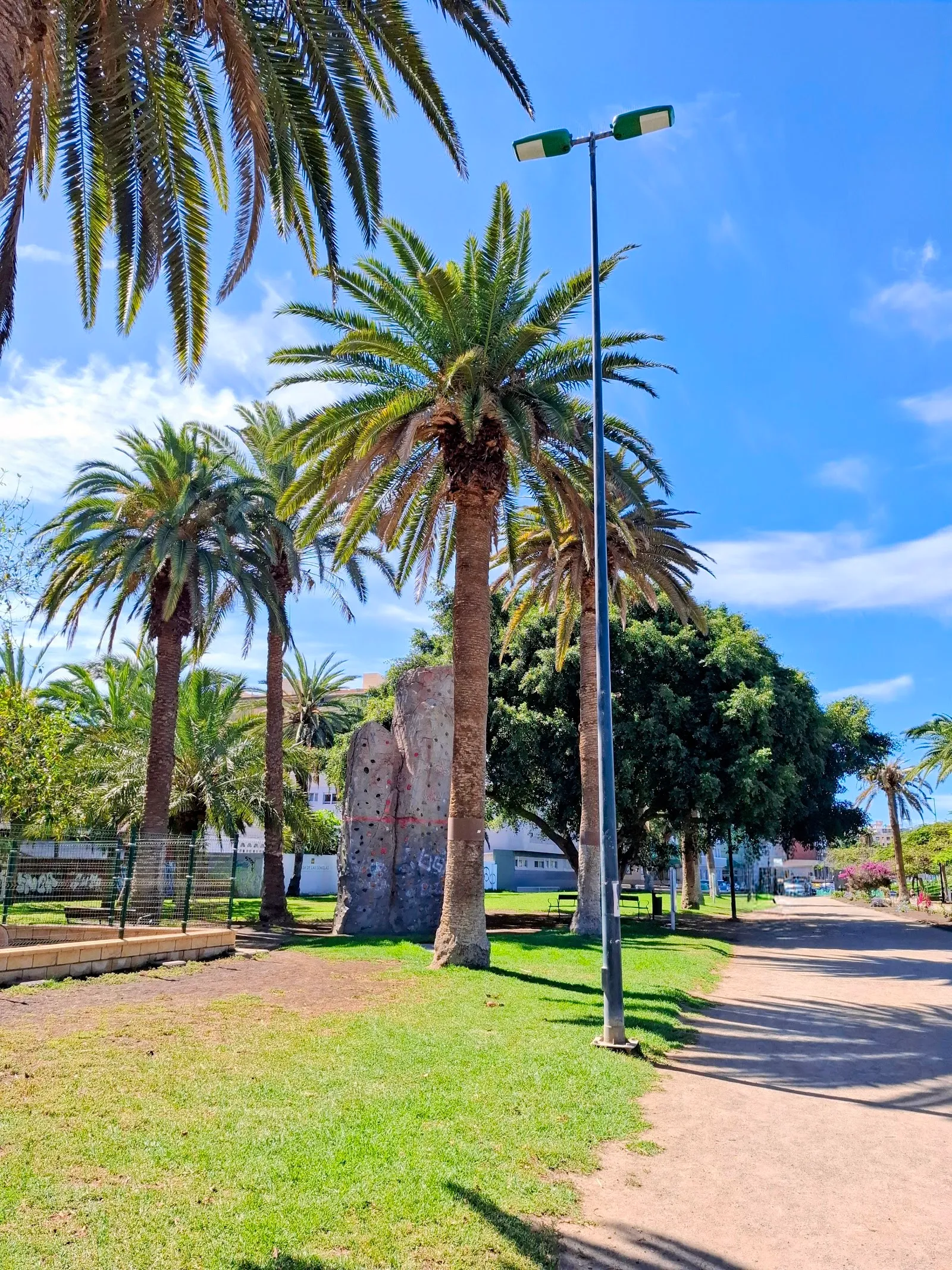 Rocódromo Parque romano — escalada-studio en Ciudad Jardin, Las Palmas de Gran Canaria — 3