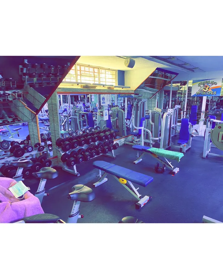 3 principes — estudio de fitness-studio en La Laguna — 3