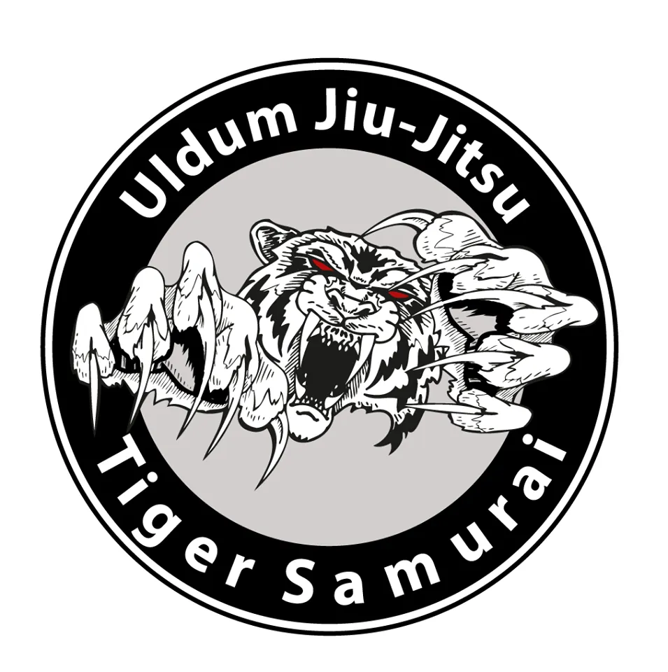 Uldum Jiu-Jitsu — kampsport-studio i Uldum — bild 3