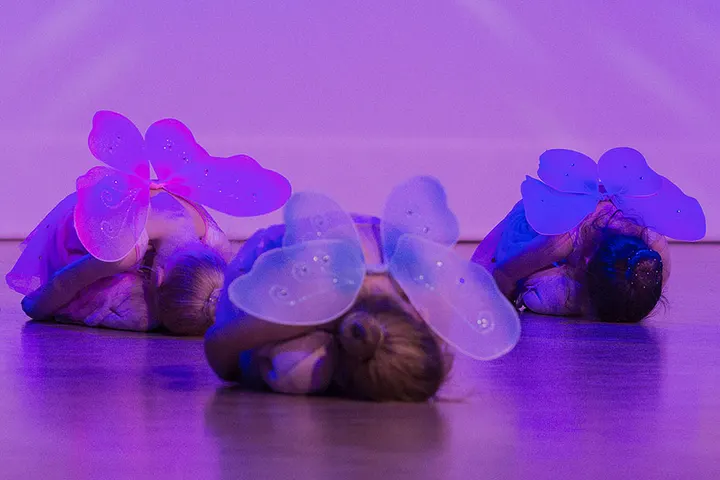 Atelier Francis Ballettschule — Dance in Ettlingen