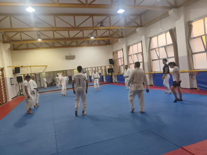 Daiku Shin Dojo - Asociacion Aiki Budo Kai Muso Ki Shin Budo Kai — artes marciales-studio en Alzira — 3