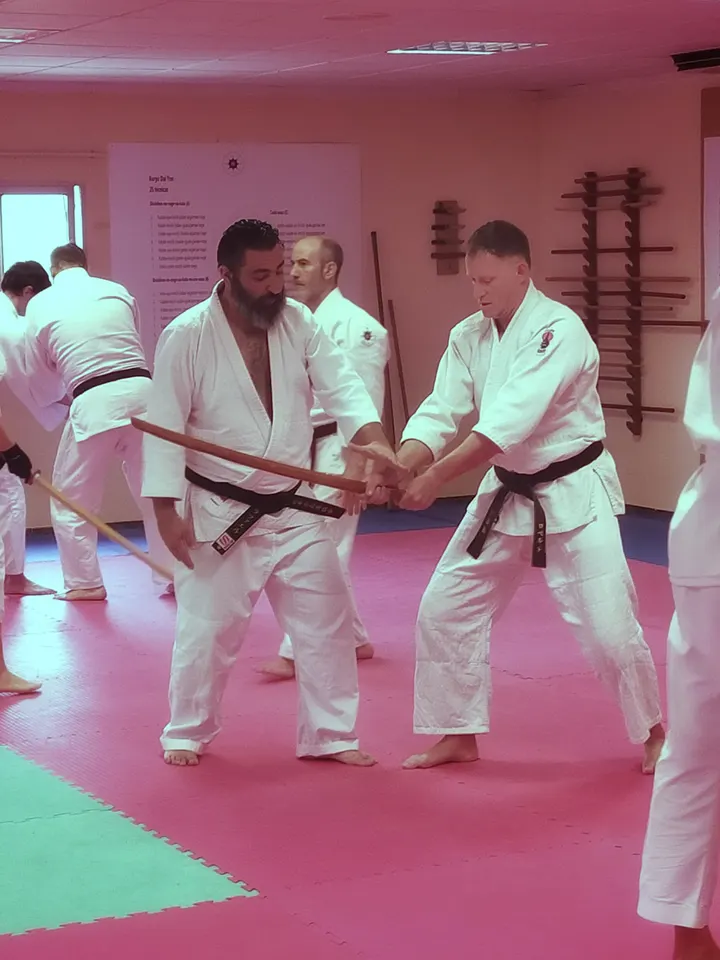 Daiku Shin Dojo - Asociacion Aiki Budo Kai Muso Ki Shin Budo Kai — artes marciales-studio en Alzira — 4