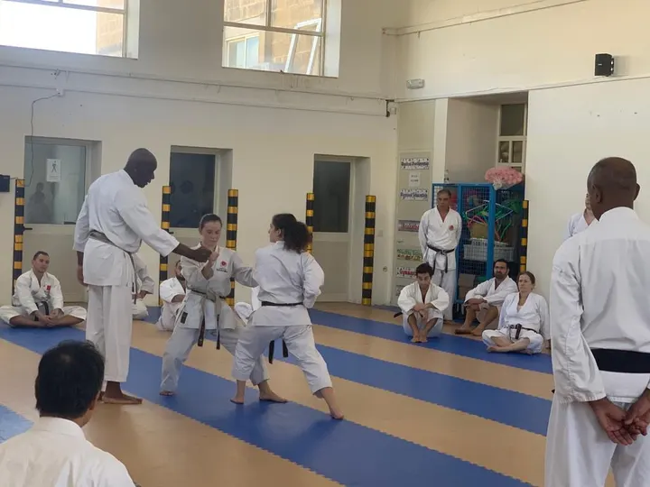 Japan Shotokan Karate England — Martial Arts in Blackheath, London