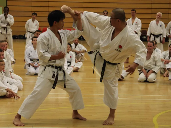Japan Shotokan Karate England — martial arts-studio in Blackheath, London — 2