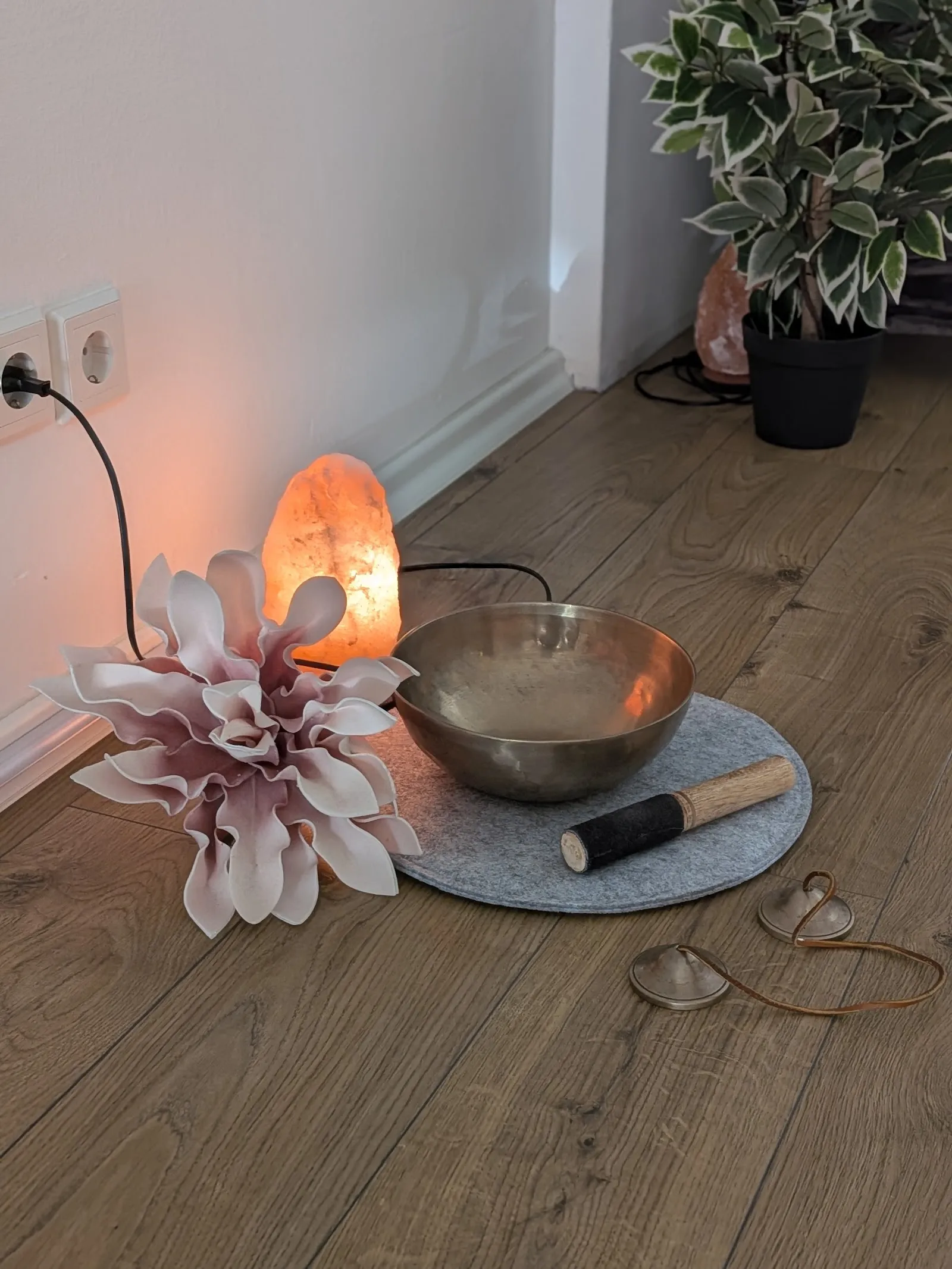 Body Mind and me — yoga-studio in Pankow, Berlin — 2