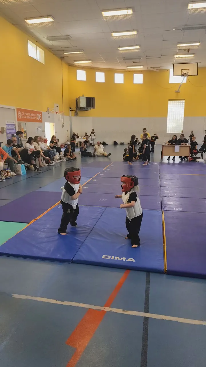 E.S.F.K. Self-Défense Krav-Maga — arts martiaux-studio à Cannes — 5