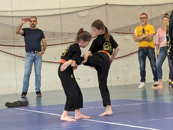 E.S.F.K. Self-Défense Krav-Maga — Kickboxing à Hautes Vallergues, Cannes
