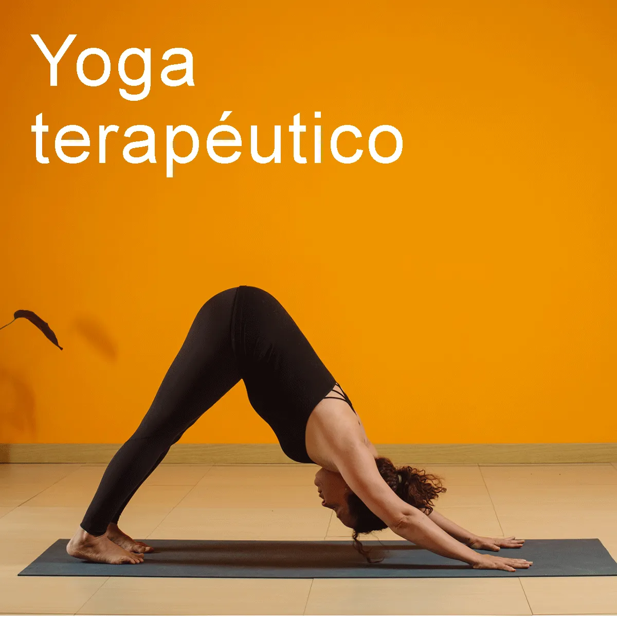 Escuela De Yoga Origen — yoga-studio en Fuencarral, Madrid — 3