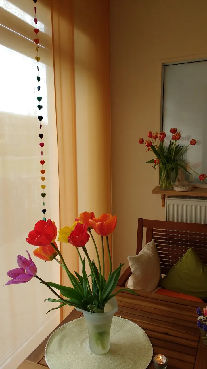 Lichtraum-Maruma Yoga und Ganzheitliche Heilung — yoga-studio in Vauban, Freiburg im Breisgau — 3