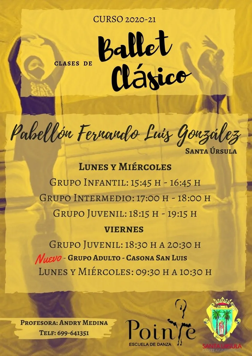 Escuela De Danza Pointe — baile-studio en Santa Úrsula — 4